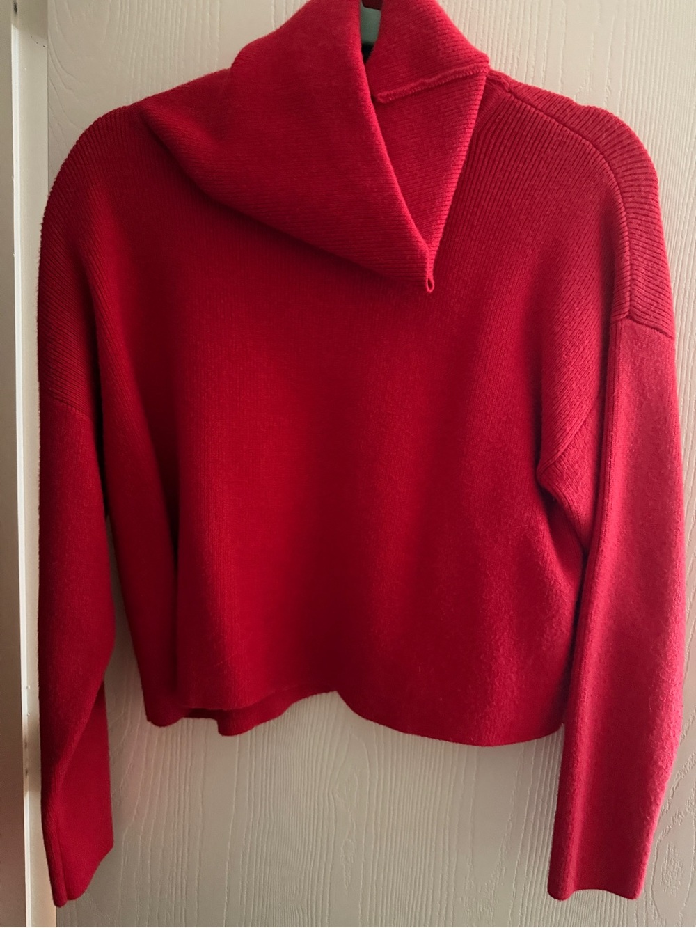 Vici Red Cowl Neck Sweater